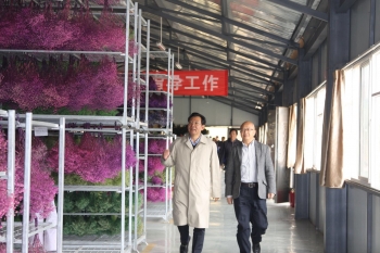調研百草莊園國家生態(tài)原產地保護產品——“夢之草”保真花卉生產加工及新技術研究