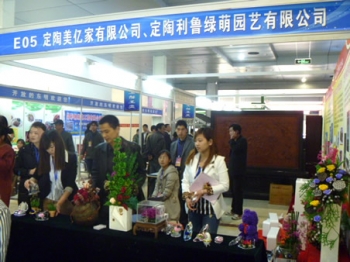 夢之草保鮮花在北京、菏澤花博會上大放異彩
