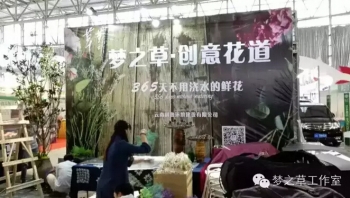 夢之草| 相約暢游農(nóng)博會