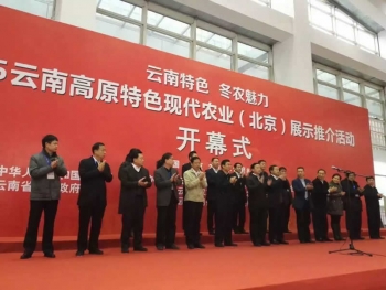 熱烈慶祝云南高原特色現(xiàn)代農(nóng)業(yè)展示推薦活動勝利召開