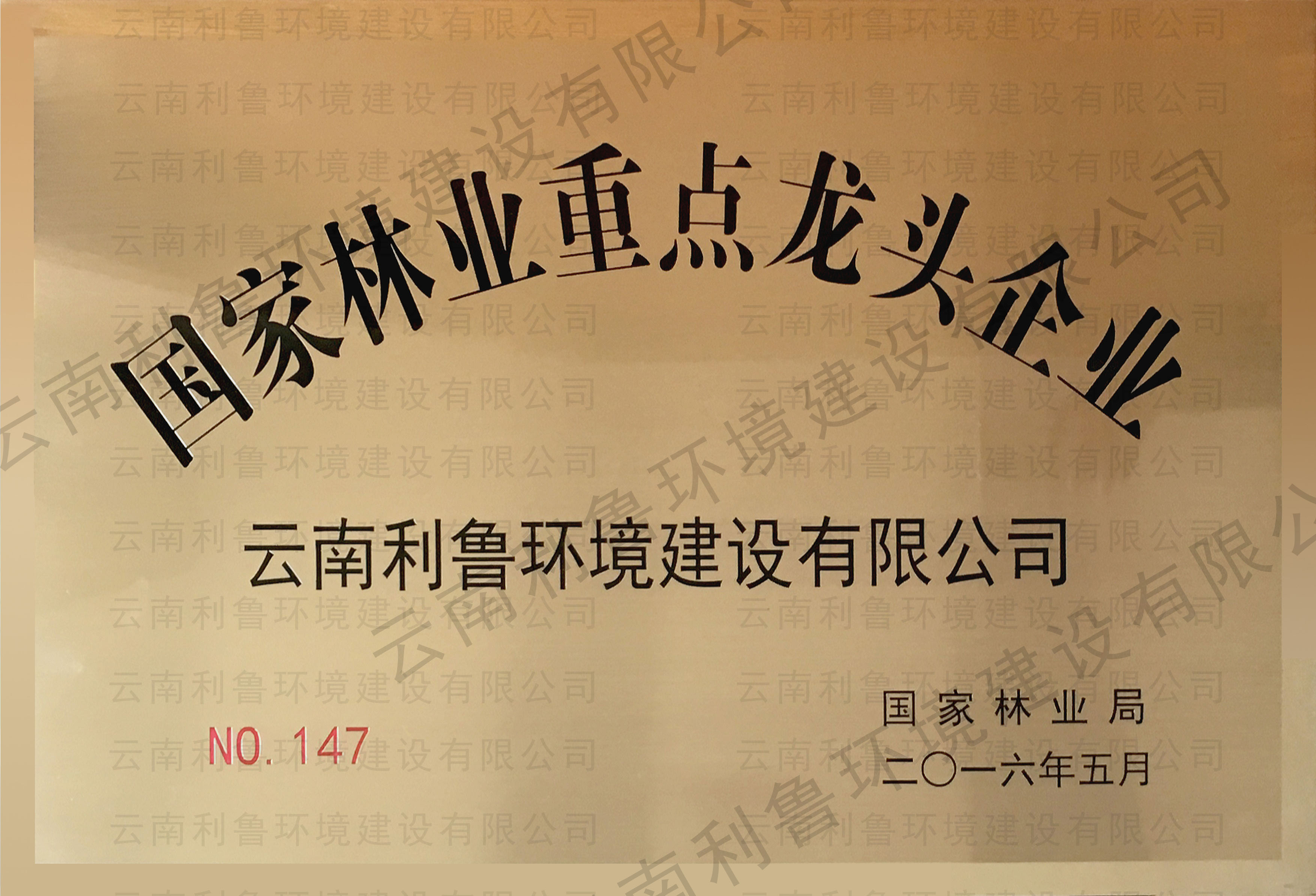 國(guó)家林業(yè)重點(diǎn)龍頭企業(yè)