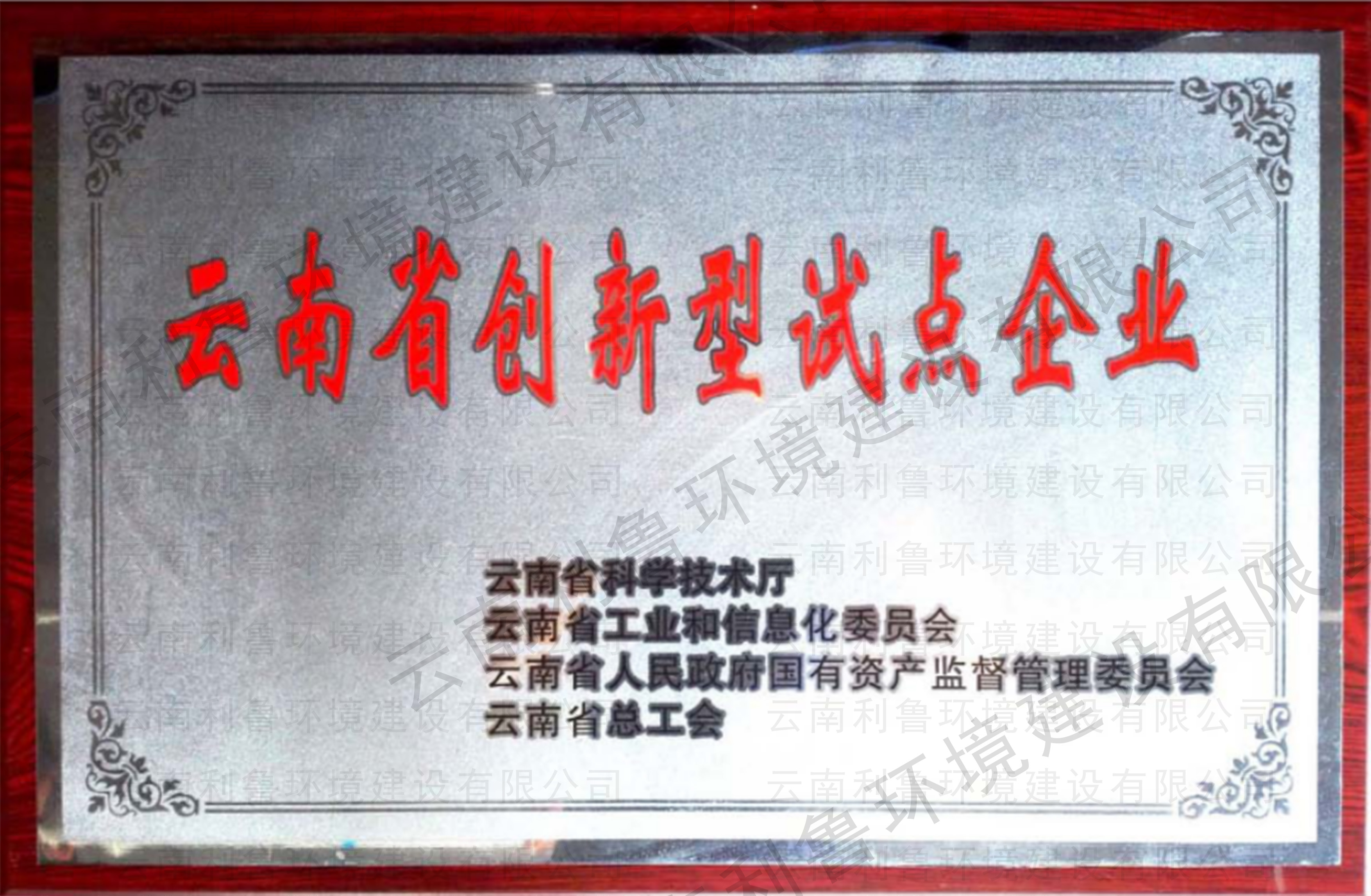 云南省創(chuàng)新型試點(diǎn)企業(yè)