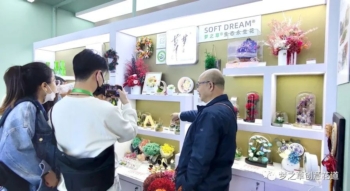 與夢之草?相約進(jìn)博會
